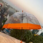 چتر قارچی نواری(30152)