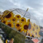 چتر آفتابگردون