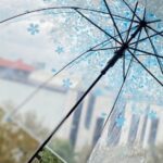 چتر شکوفه(30122)